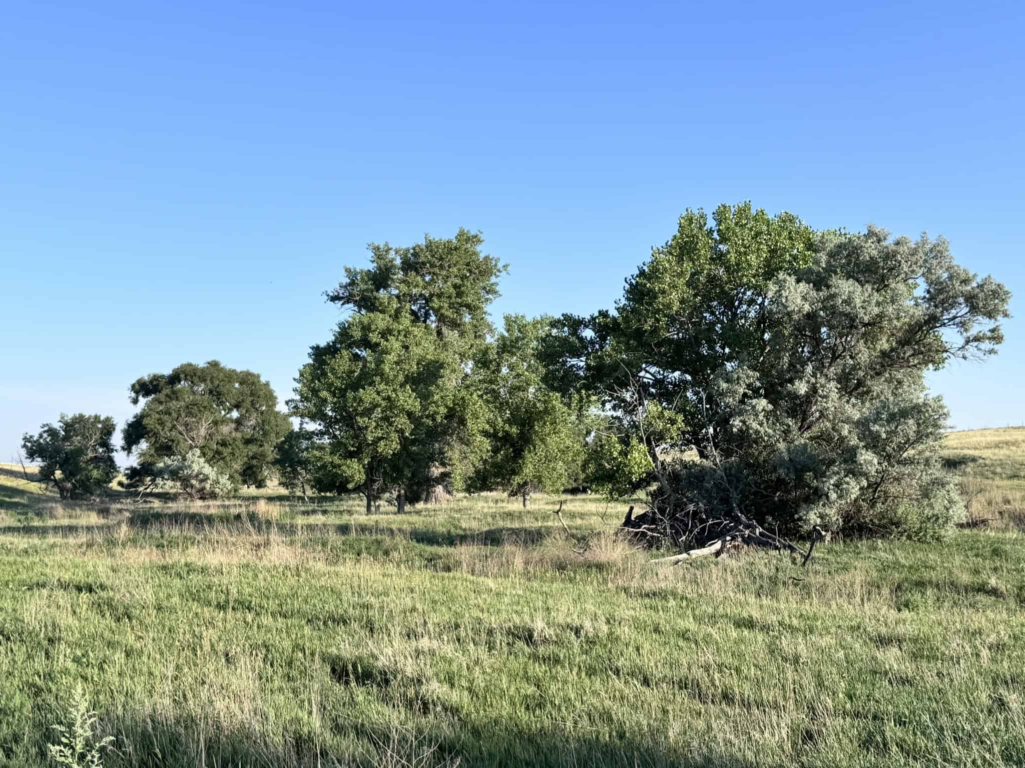 Large Acreage – Chase County Farm, Hunt and Build