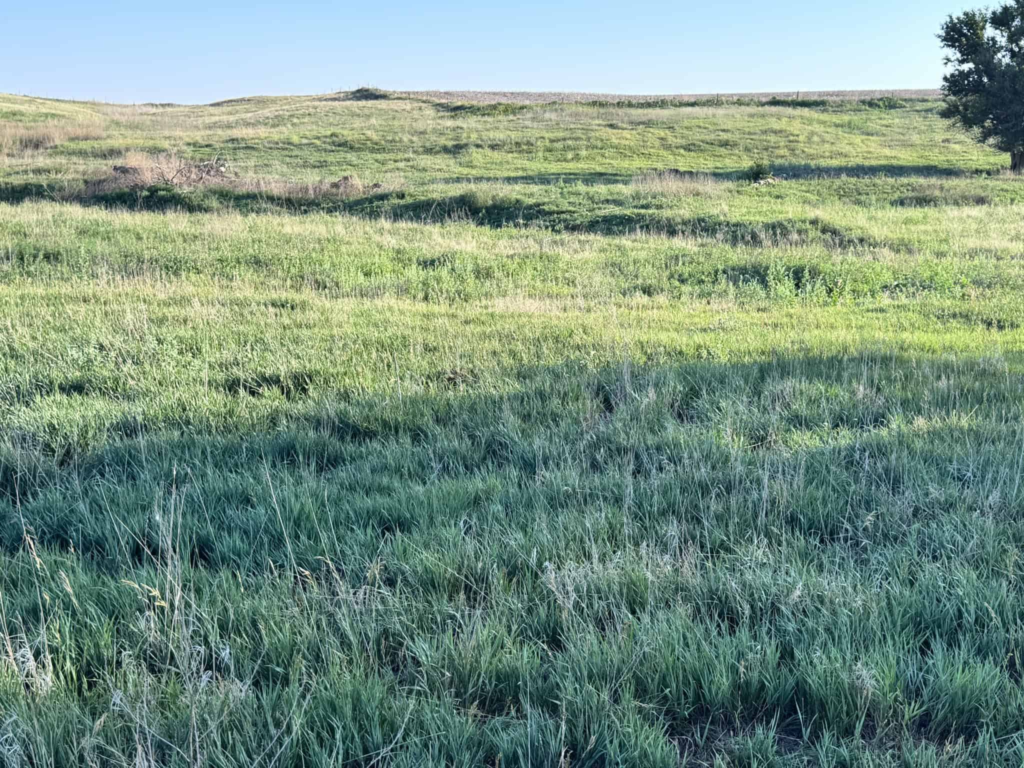 Large Acreage – Chase County Farm, Hunt and Build