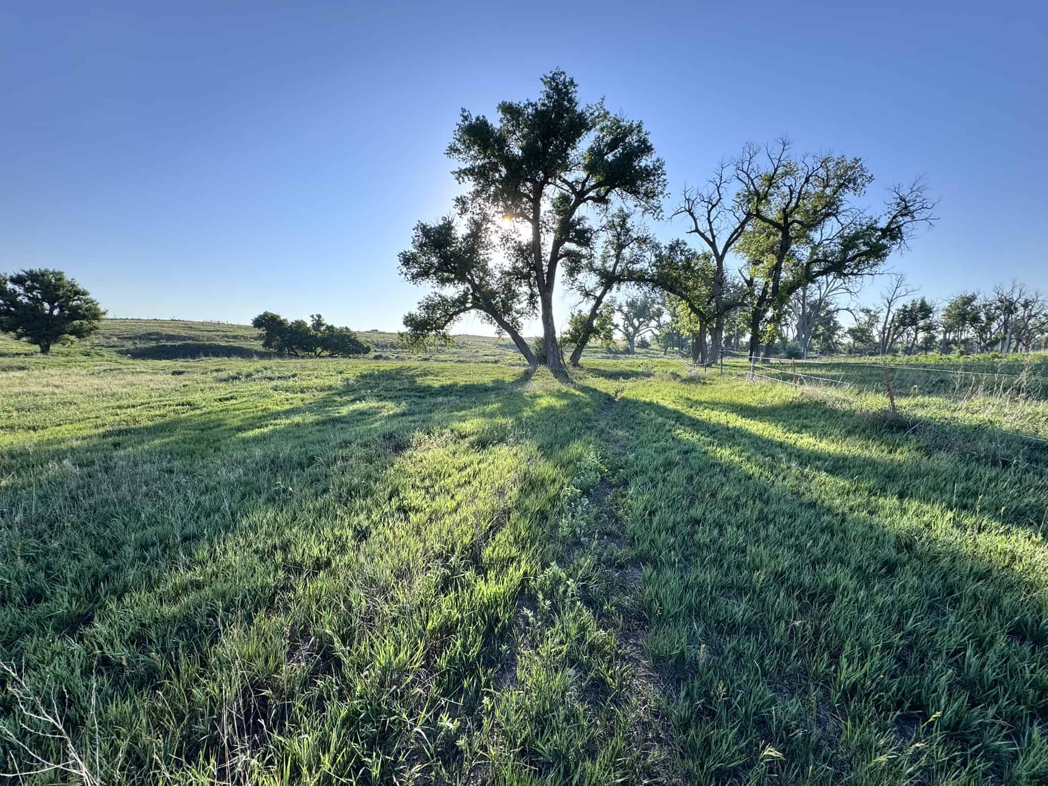 Large Acreage – Chase County Farm, Hunt and Build