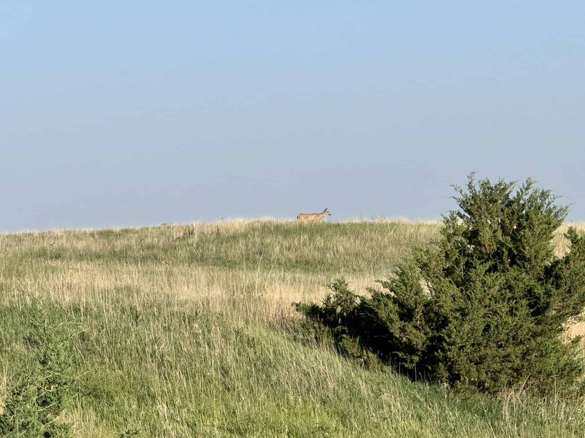Large Acreage – Chase County Farm, Hunt and Build