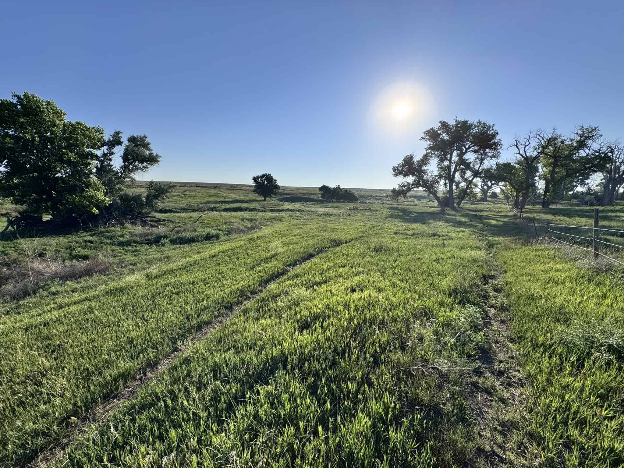 Large Acreage – Chase County Farm, Hunt and Build