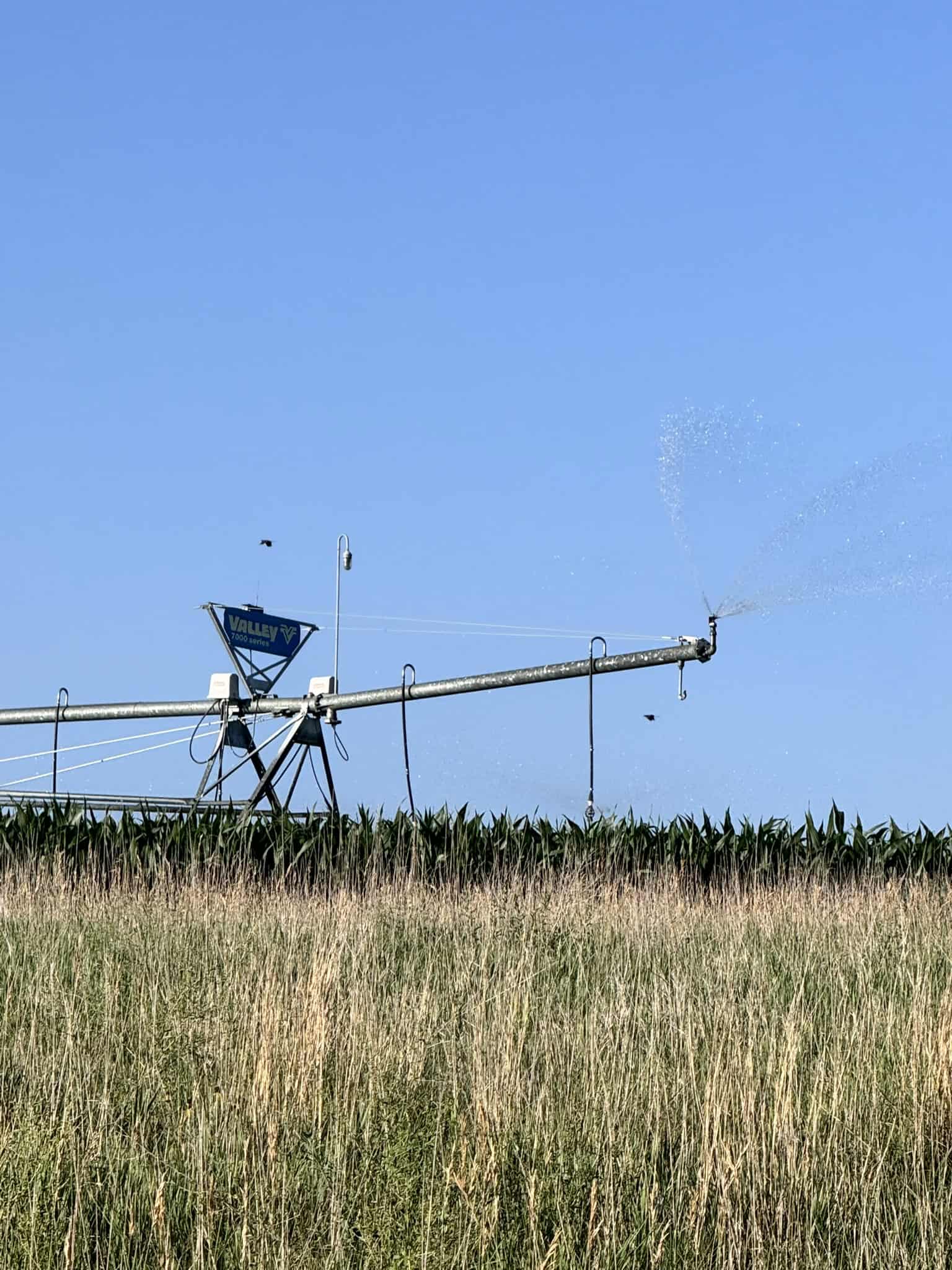 Large Acreage – Chase County Farm, Hunt and Build