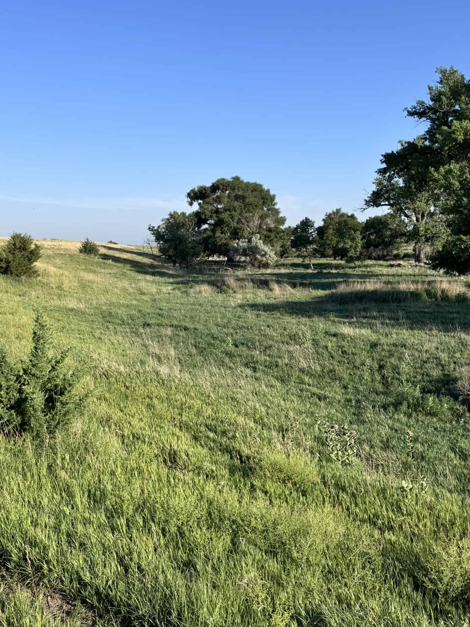 Large Acreage – Chase County Farm, Hunt and Build