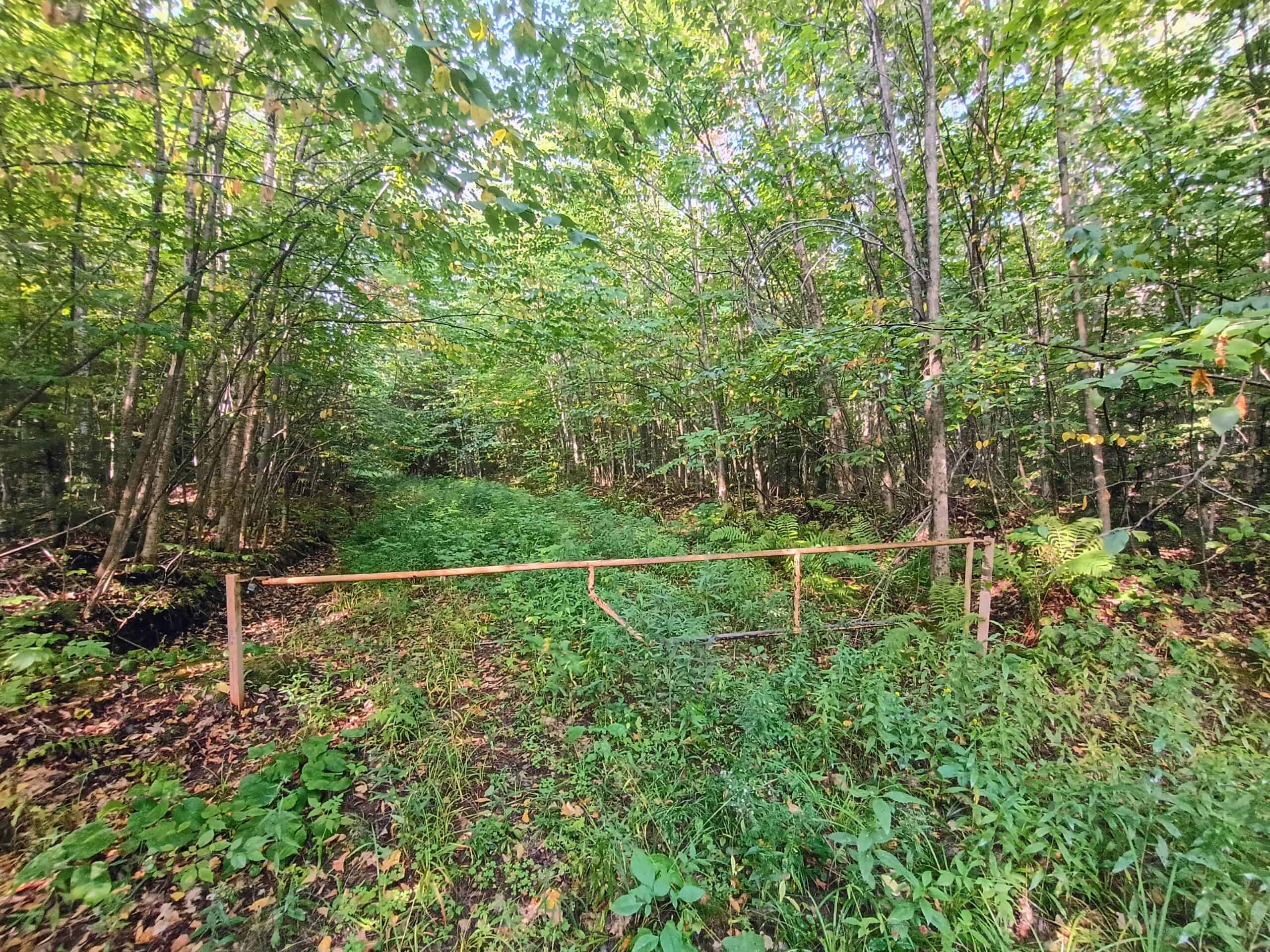 283± Hunting Acres For Sale in Northern Wisconsin!