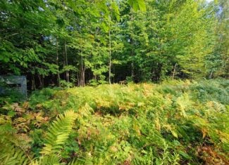 283± Hunting Acres For Sale in Northern Wisconsin!