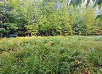 283± Hunting Acres For Sale in Northern Wisconsin!