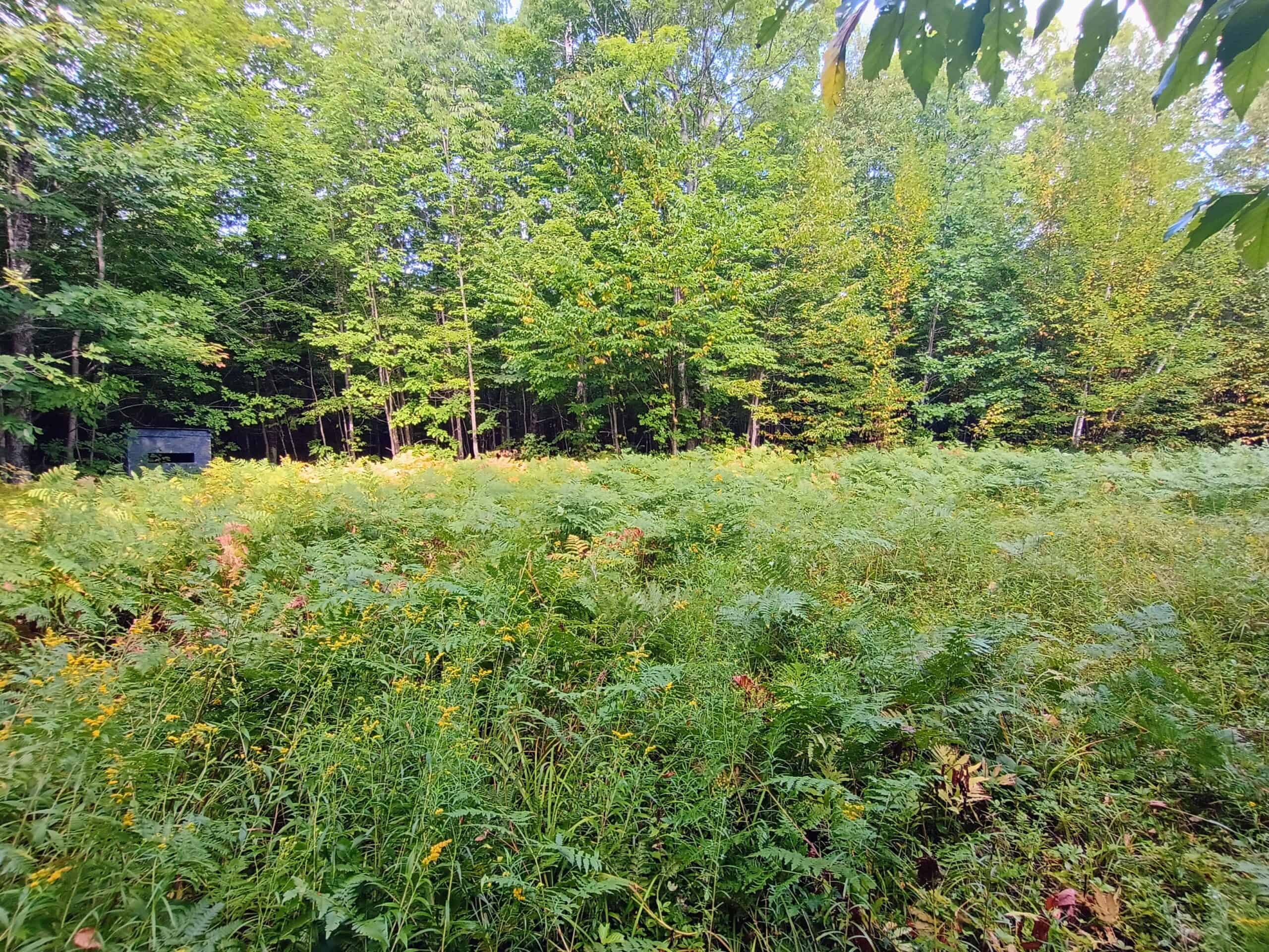283± Hunting Acres For Sale in Northern Wisconsin!