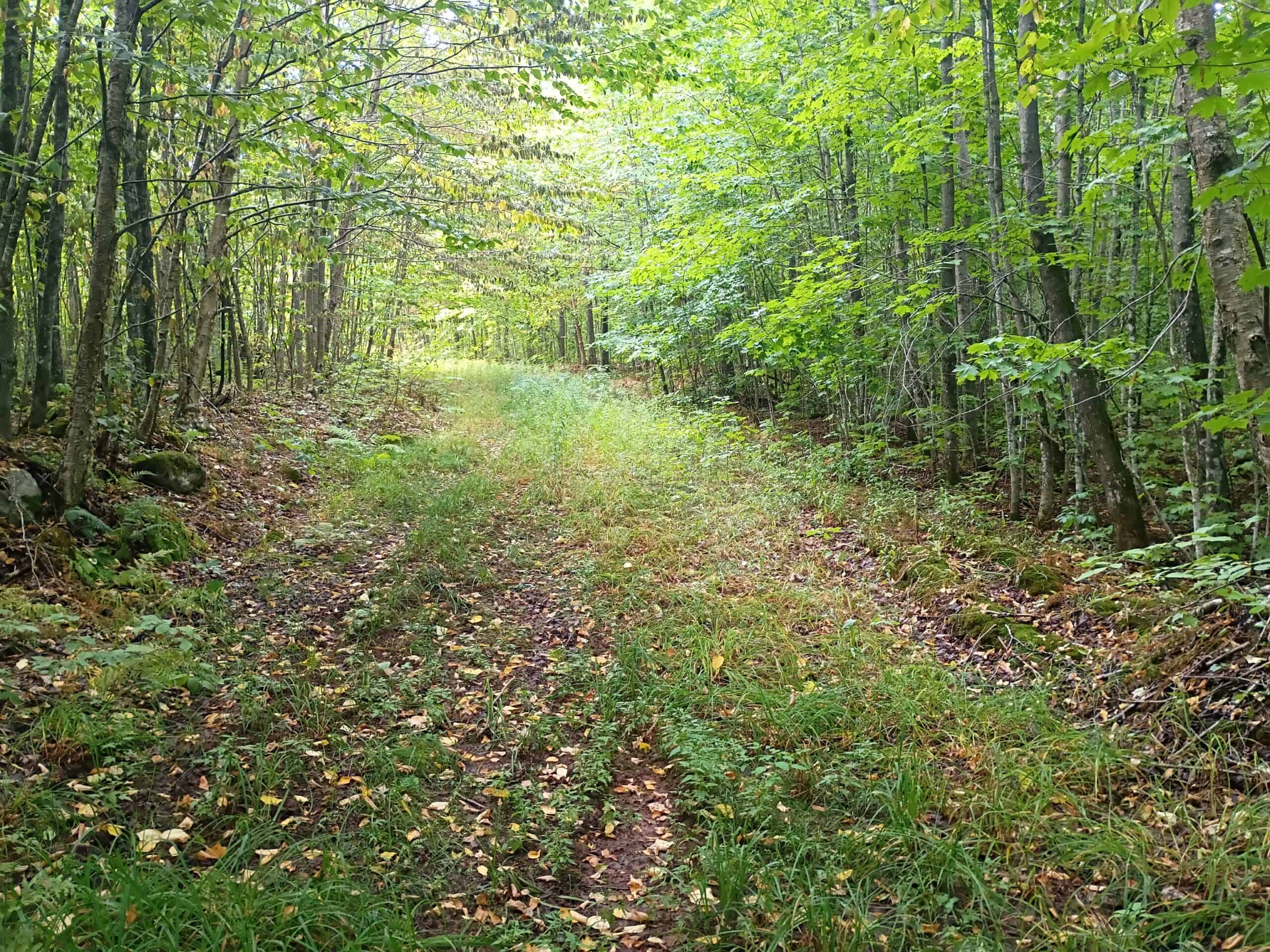 283± Hunting Acres For Sale in Northern Wisconsin!