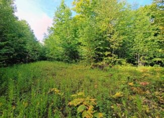 283± Hunting Acres For Sale in Northern Wisconsin!