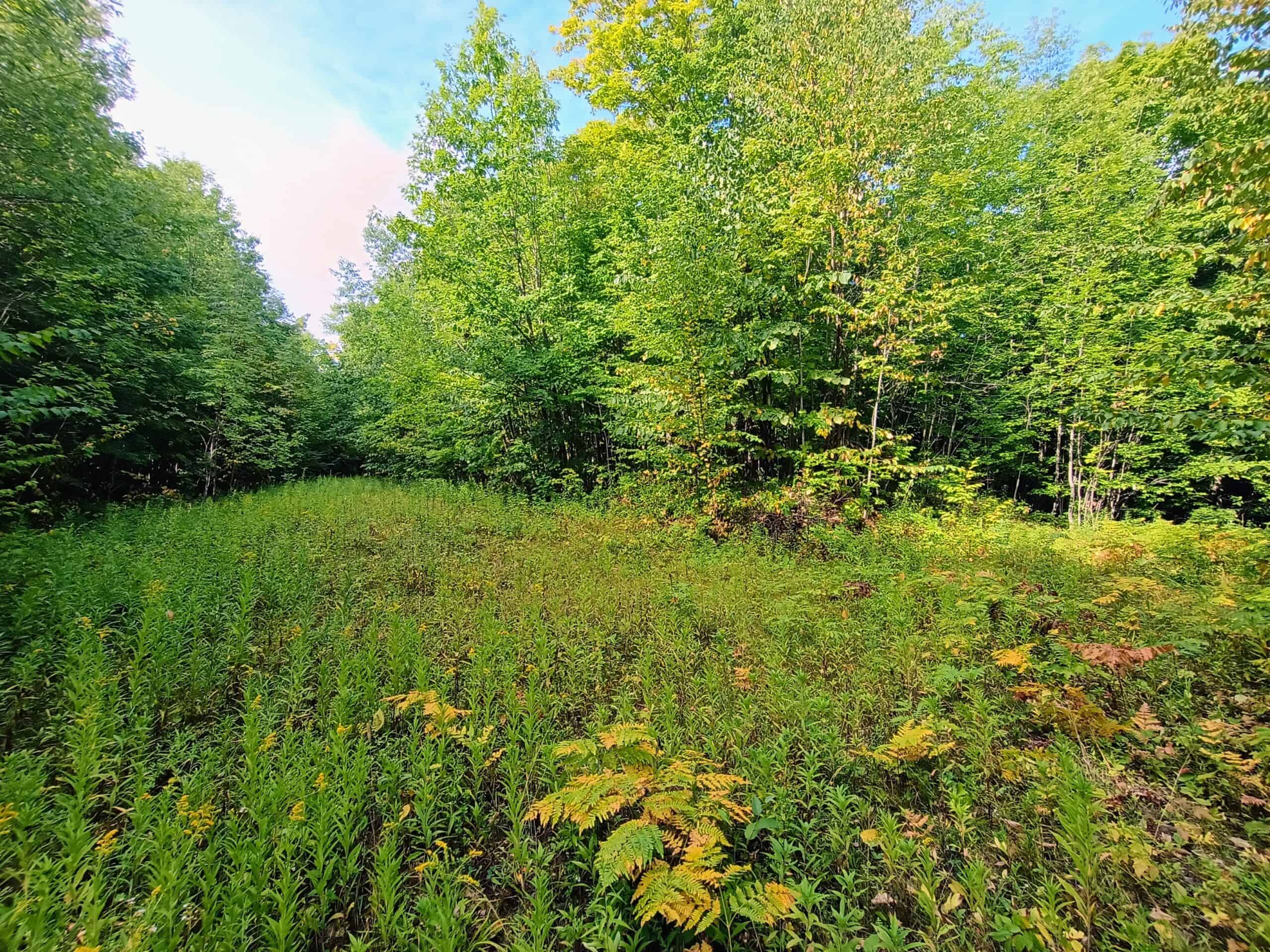 283± Hunting Acres For Sale in Northern Wisconsin!