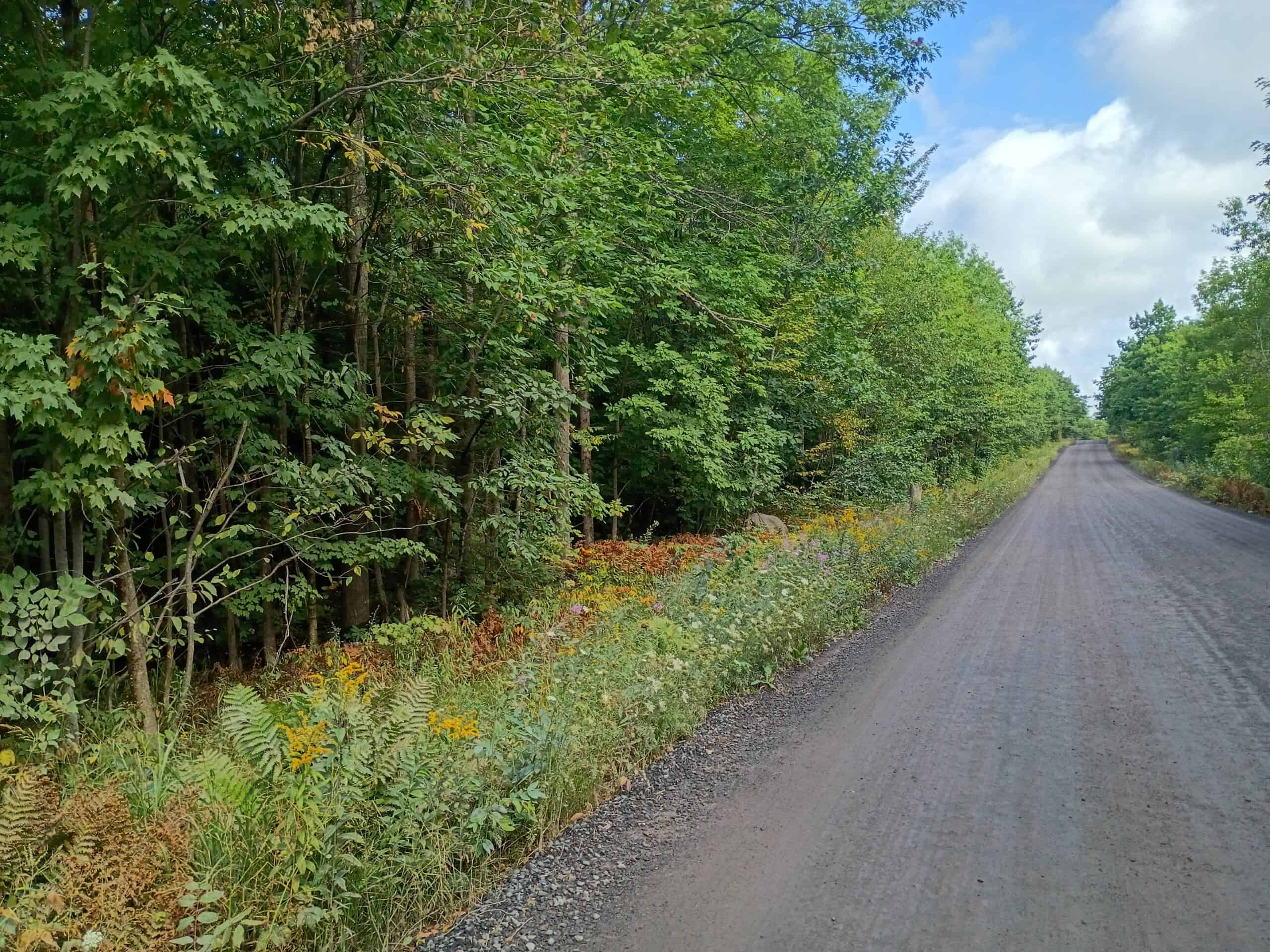 283± Hunting Acres For Sale in Northern Wisconsin!