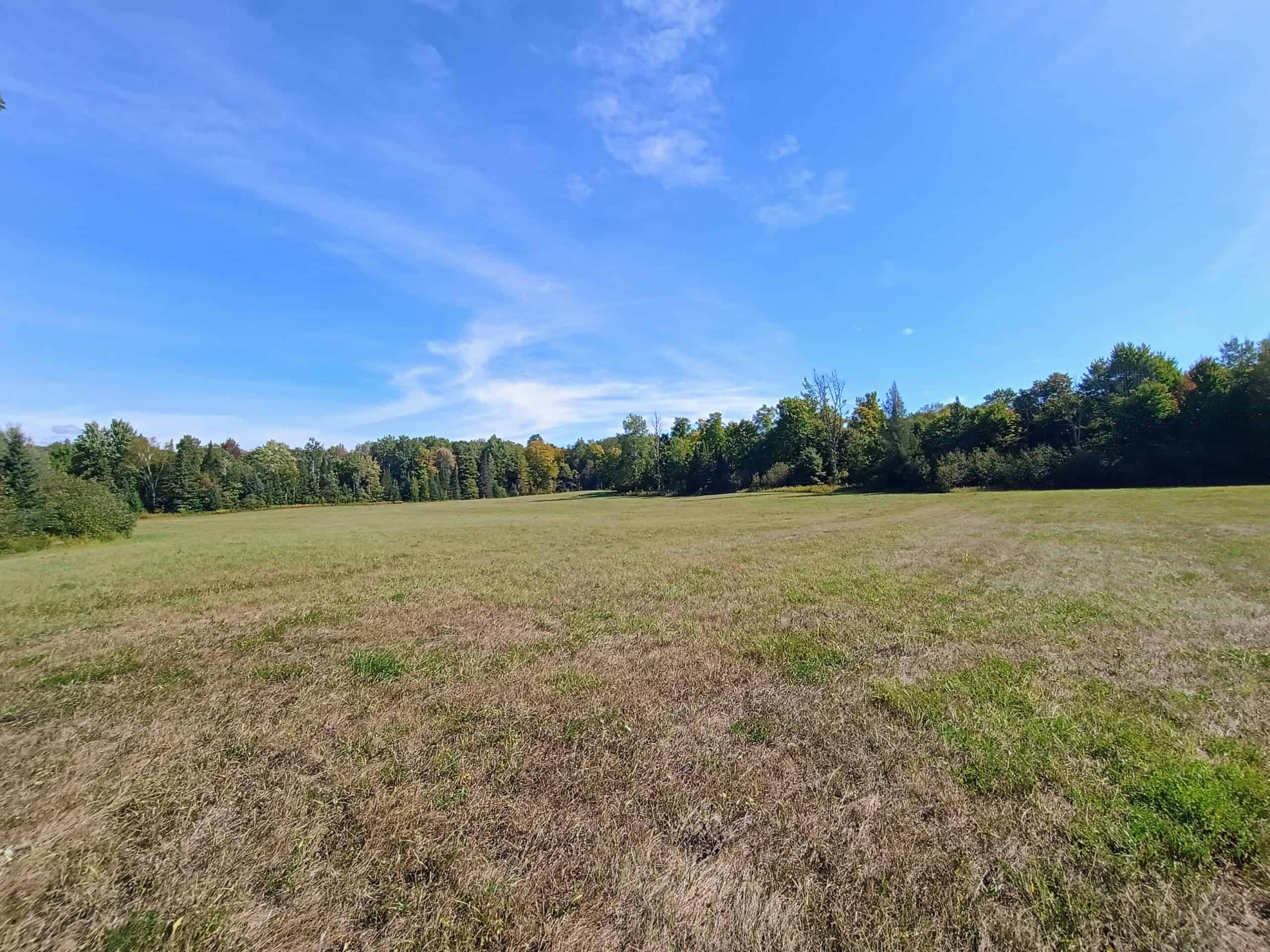 40± Wooded Acres For Sale Near Wisconsin National Forest