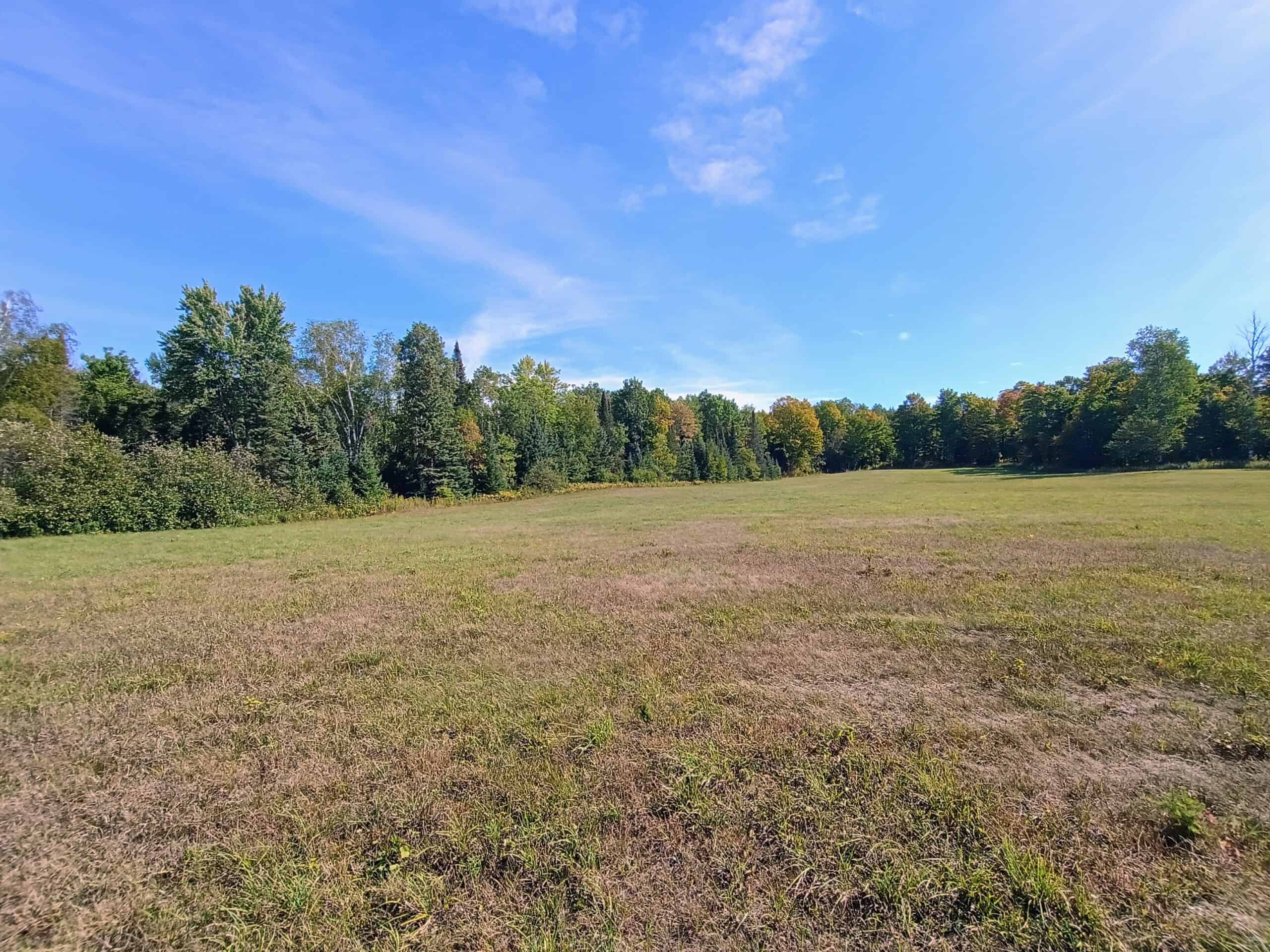 40± Wooded Acres For Sale Near Wisconsin National Forest