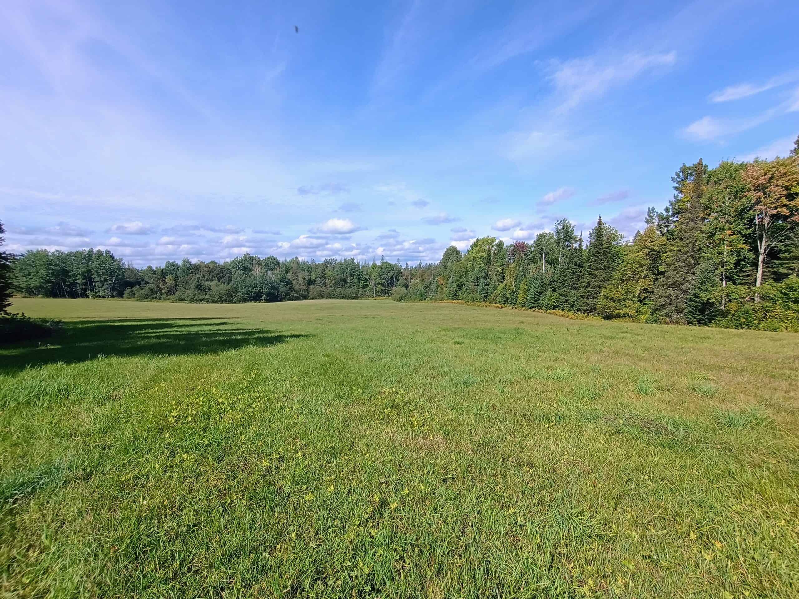 40± Wooded Acres For Sale Near Wisconsin National Forest