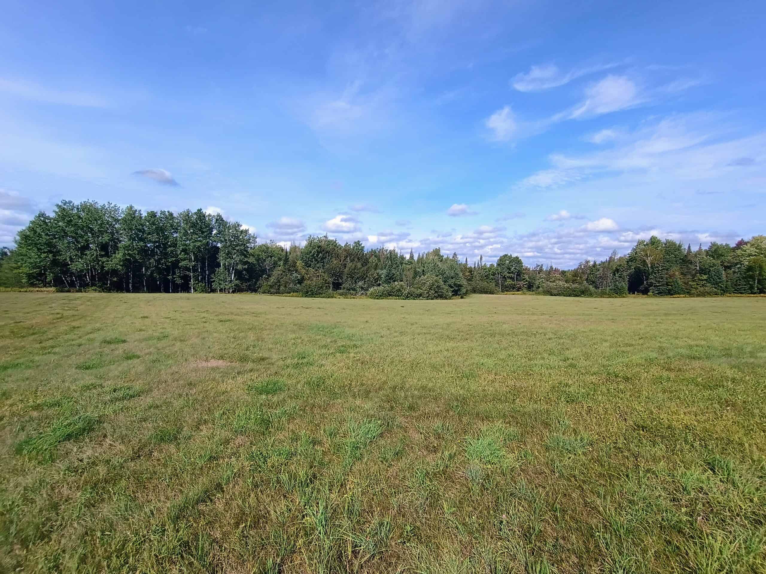 40± Wooded Acres For Sale Near Wisconsin National Forest