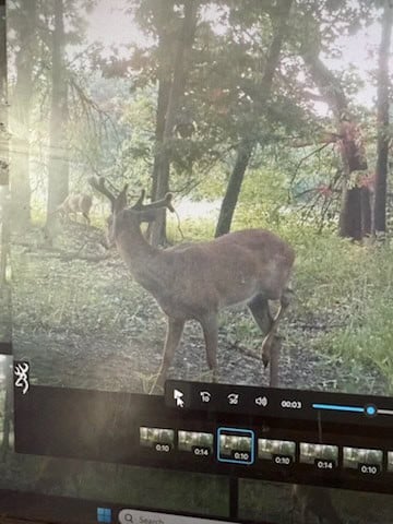 52 Acres of Trophy Whitetail Deer Hunting in Columbia County WI