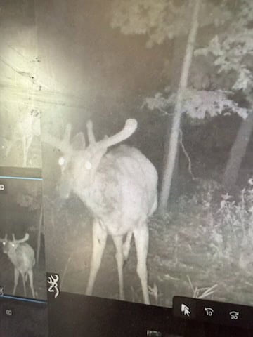 52 Acres of Trophy Whitetail Deer Hunting in Columbia County WI