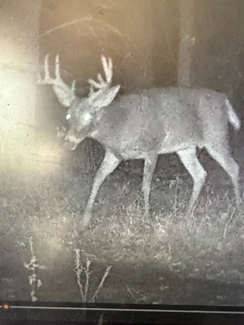 52 Acres of Trophy Whitetail Deer Hunting in Columbia County WI