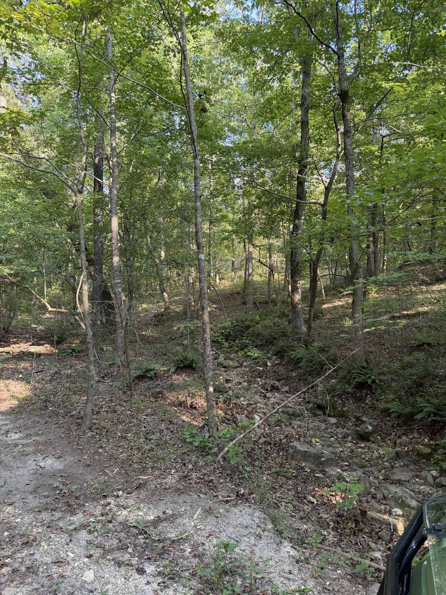 HUNTING LAND FOR SALE IN NORTH CENTRAL ARKANSAS