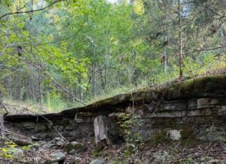 HUNTING LAND FOR SALE IN NORTH CENTRAL ARKANSAS