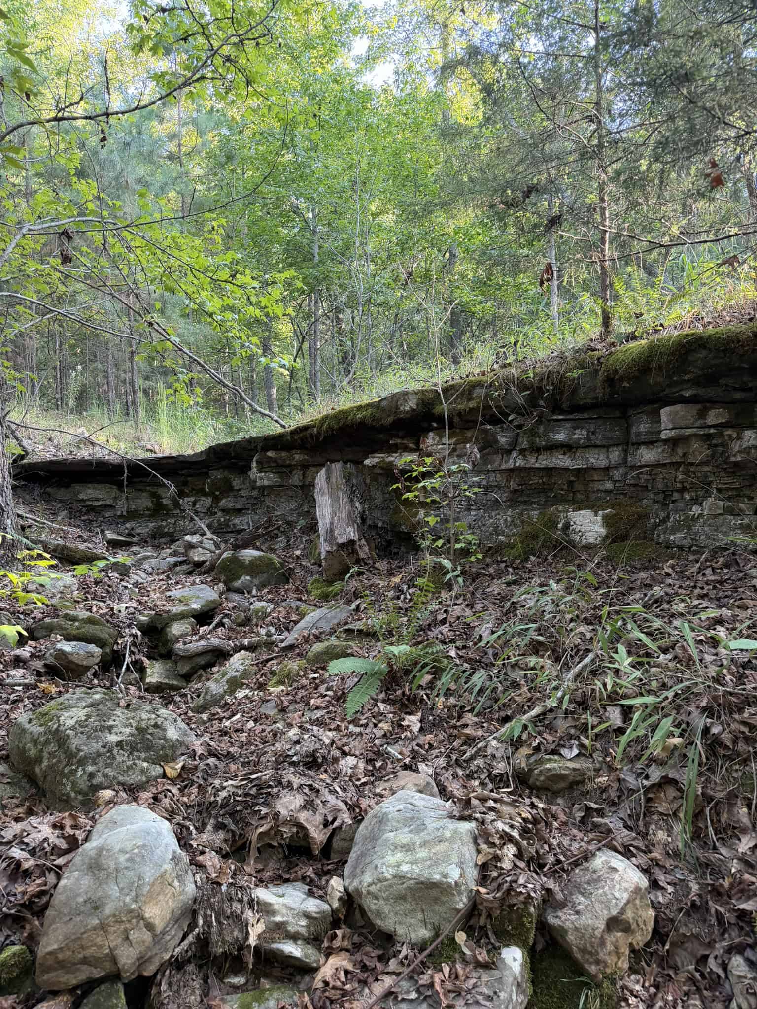 HUNTING LAND FOR SALE IN NORTH CENTRAL ARKANSAS