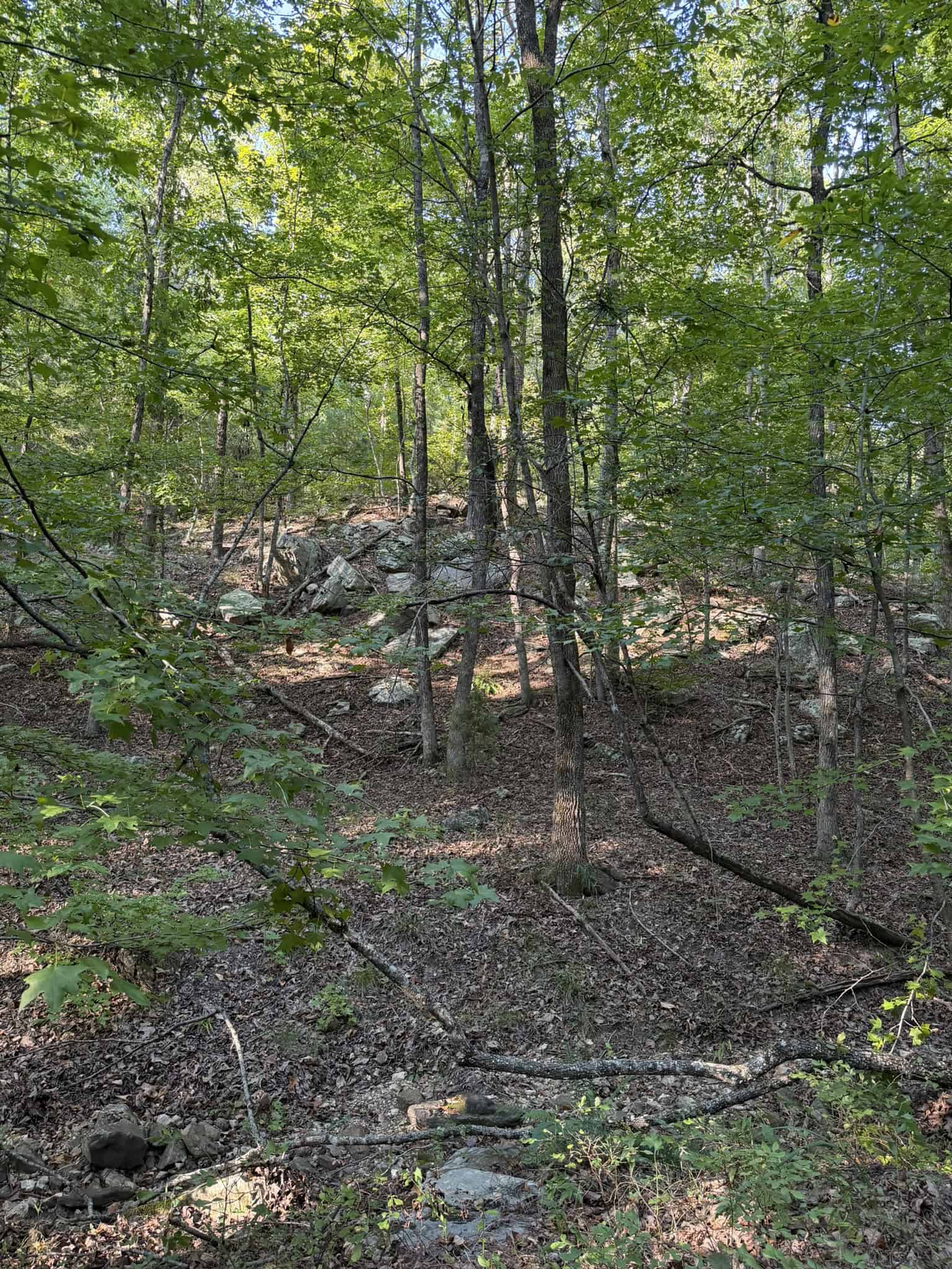 HUNTING LAND FOR SALE IN NORTH CENTRAL ARKANSAS