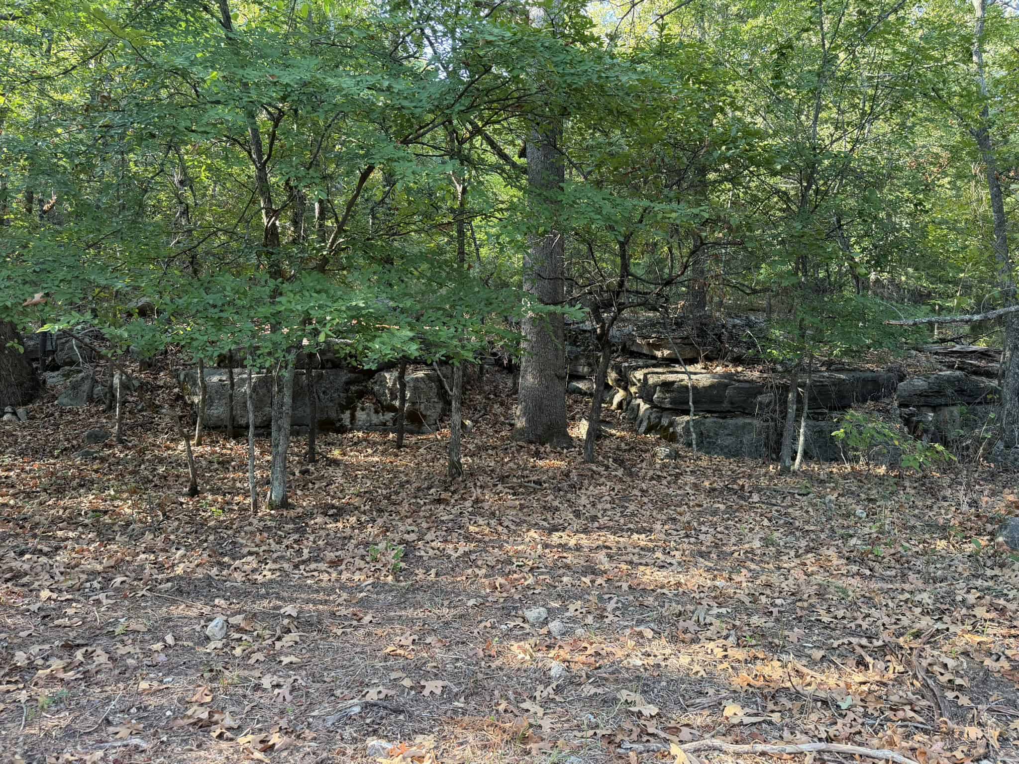HUNTING LAND FOR SALE IN NORTH CENTRAL ARKANSAS
