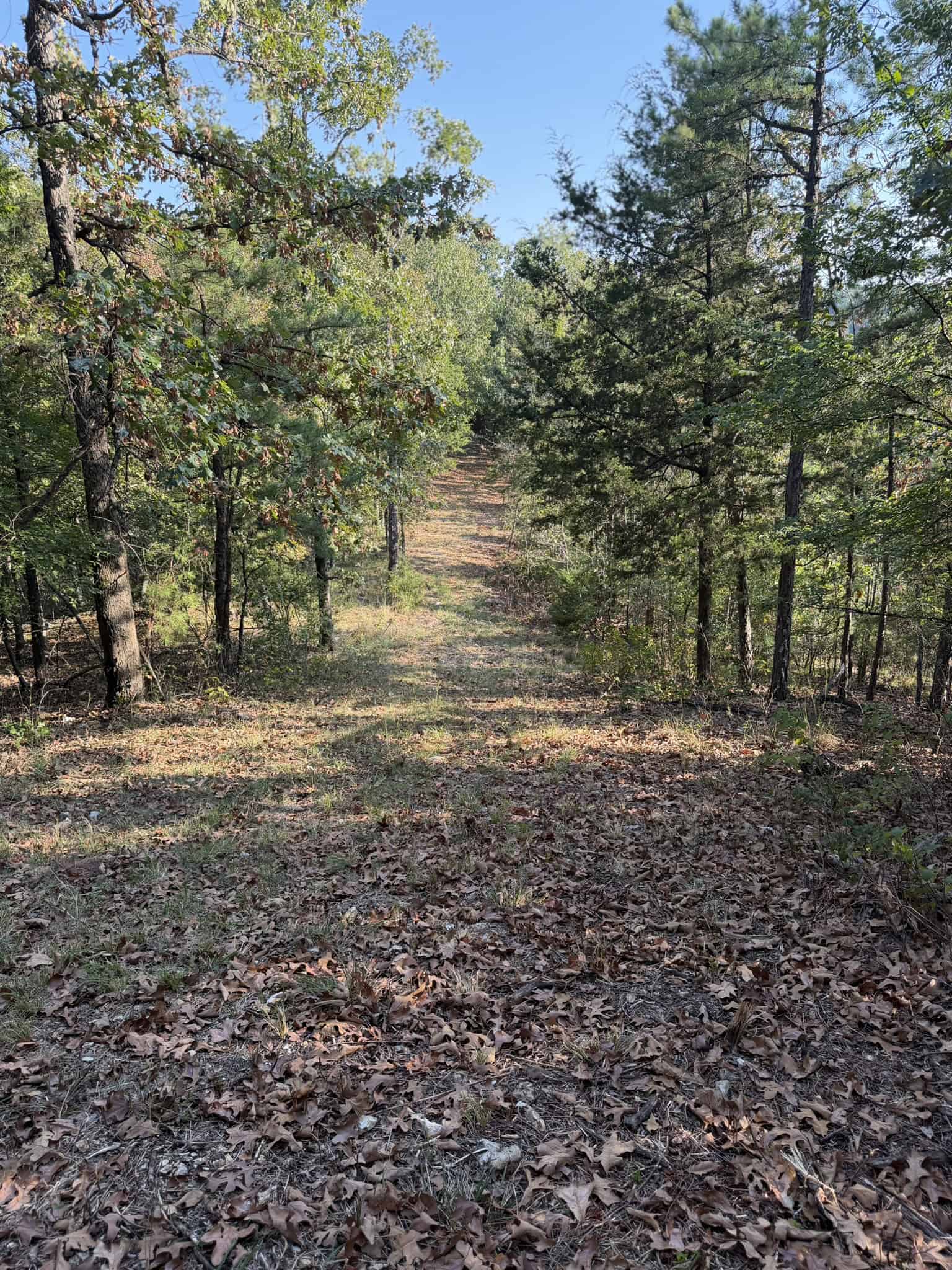 HUNTING LAND FOR SALE IN NORTH CENTRAL ARKANSAS
