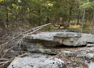 HUNTING LAND FOR SALE IN NORTH CENTRAL ARKANSAS