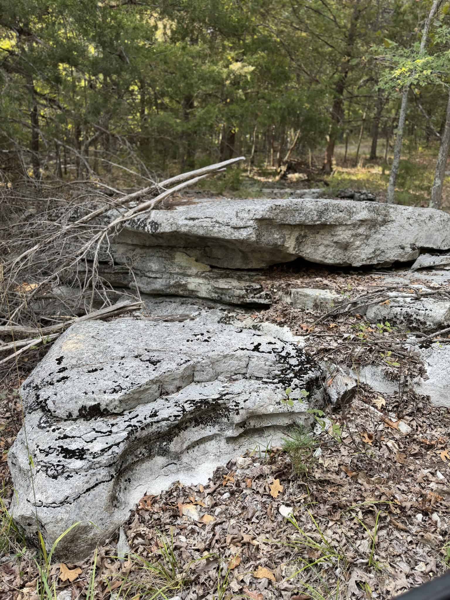 HUNTING LAND FOR SALE IN NORTH CENTRAL ARKANSAS