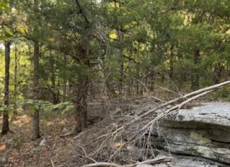 HUNTING LAND FOR SALE IN NORTH CENTRAL ARKANSAS