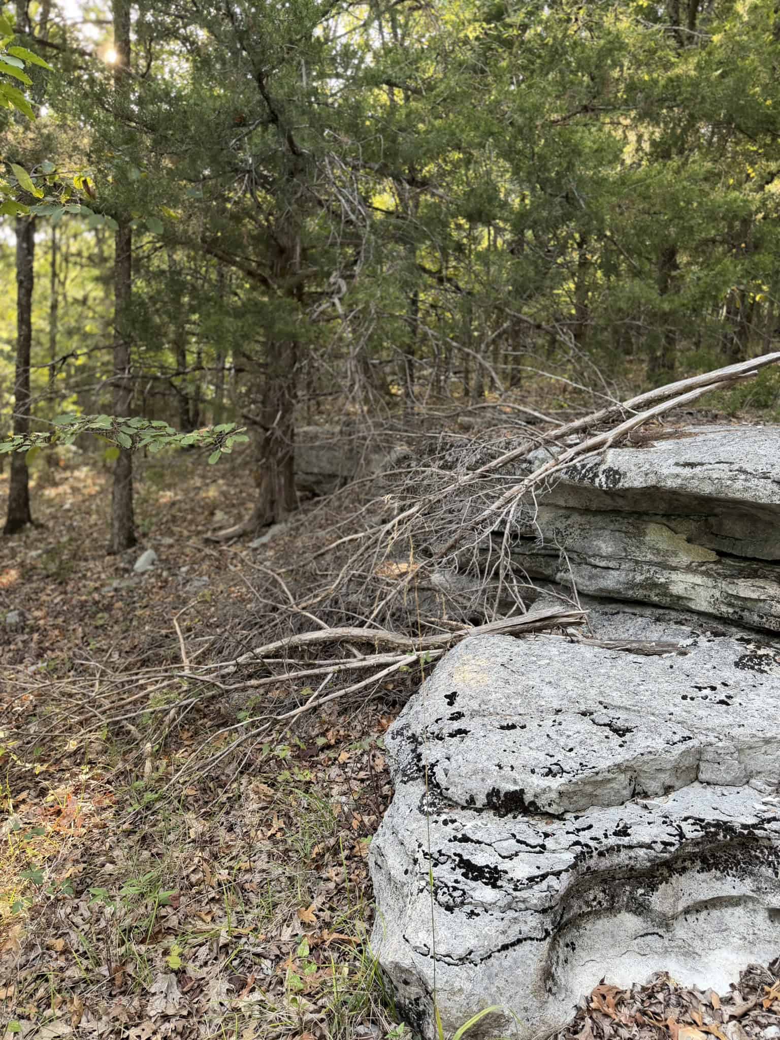 HUNTING LAND FOR SALE IN NORTH CENTRAL ARKANSAS