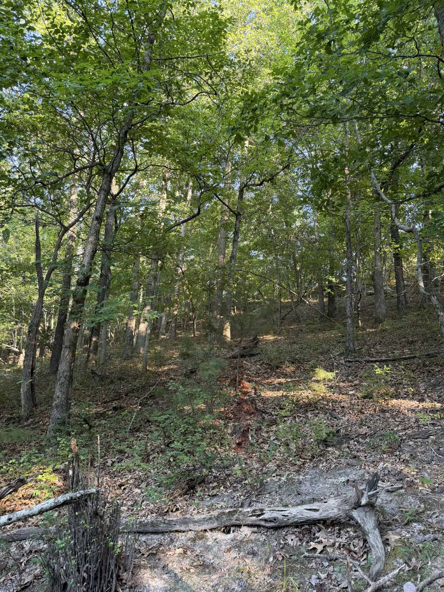 HUNTING LAND FOR SALE IN NORTH CENTRAL ARKANSAS