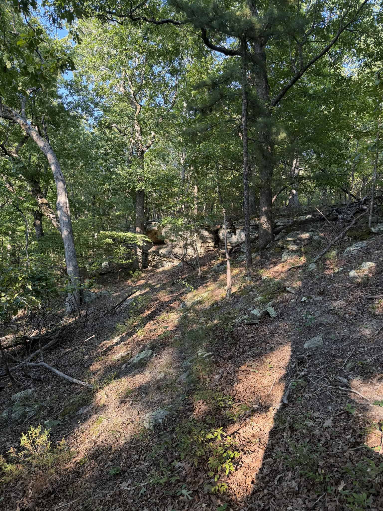 HUNTING LAND FOR SALE IN NORTH CENTRAL ARKANSAS