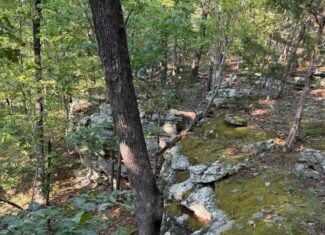 HUNTING LAND FOR SALE IN NORTH CENTRAL ARKANSAS