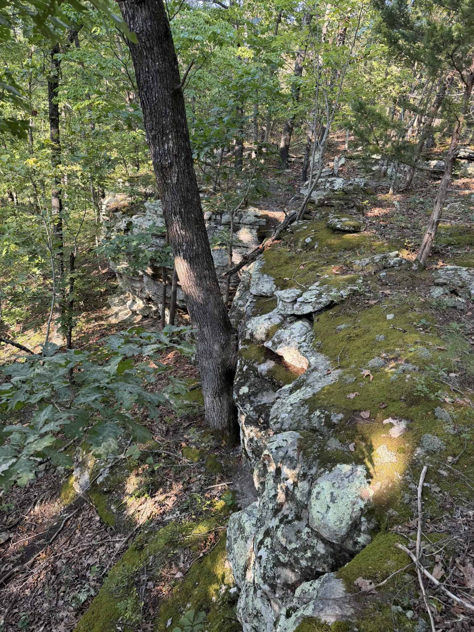 HUNTING LAND FOR SALE IN NORTH CENTRAL ARKANSAS