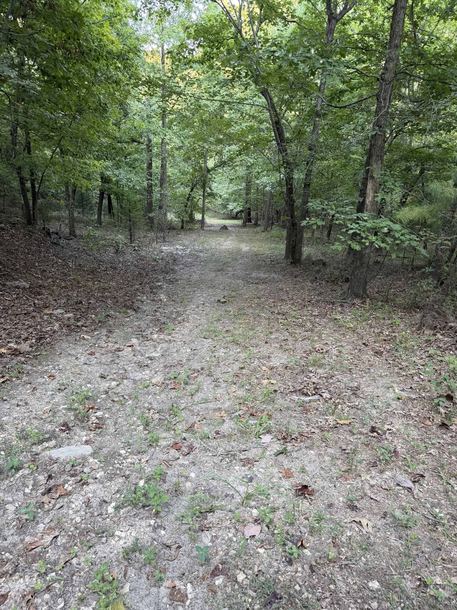 HUNTING LAND FOR SALE IN NORTH CENTRAL ARKANSAS