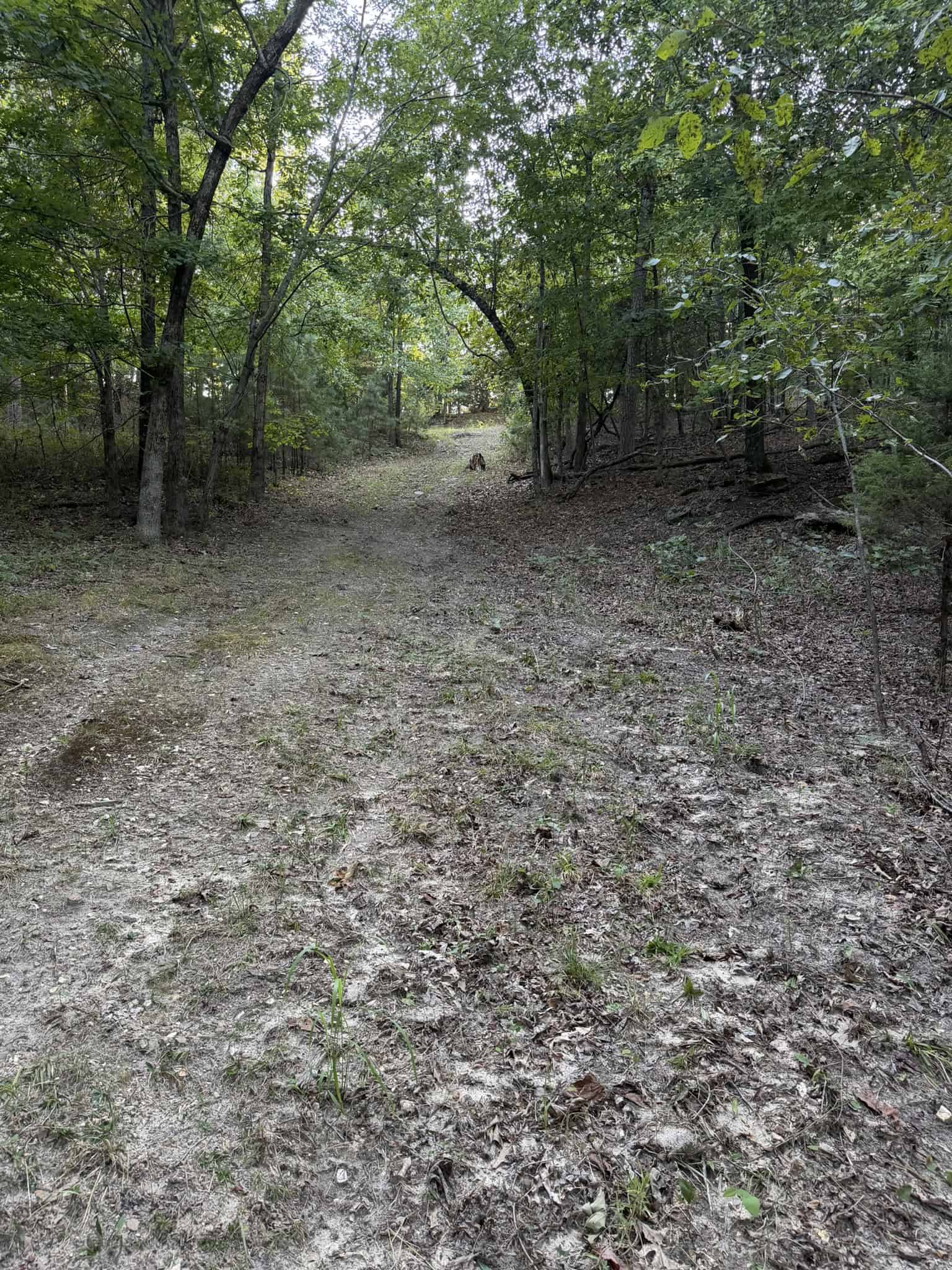 HUNTING LAND FOR SALE IN NORTH CENTRAL ARKANSAS