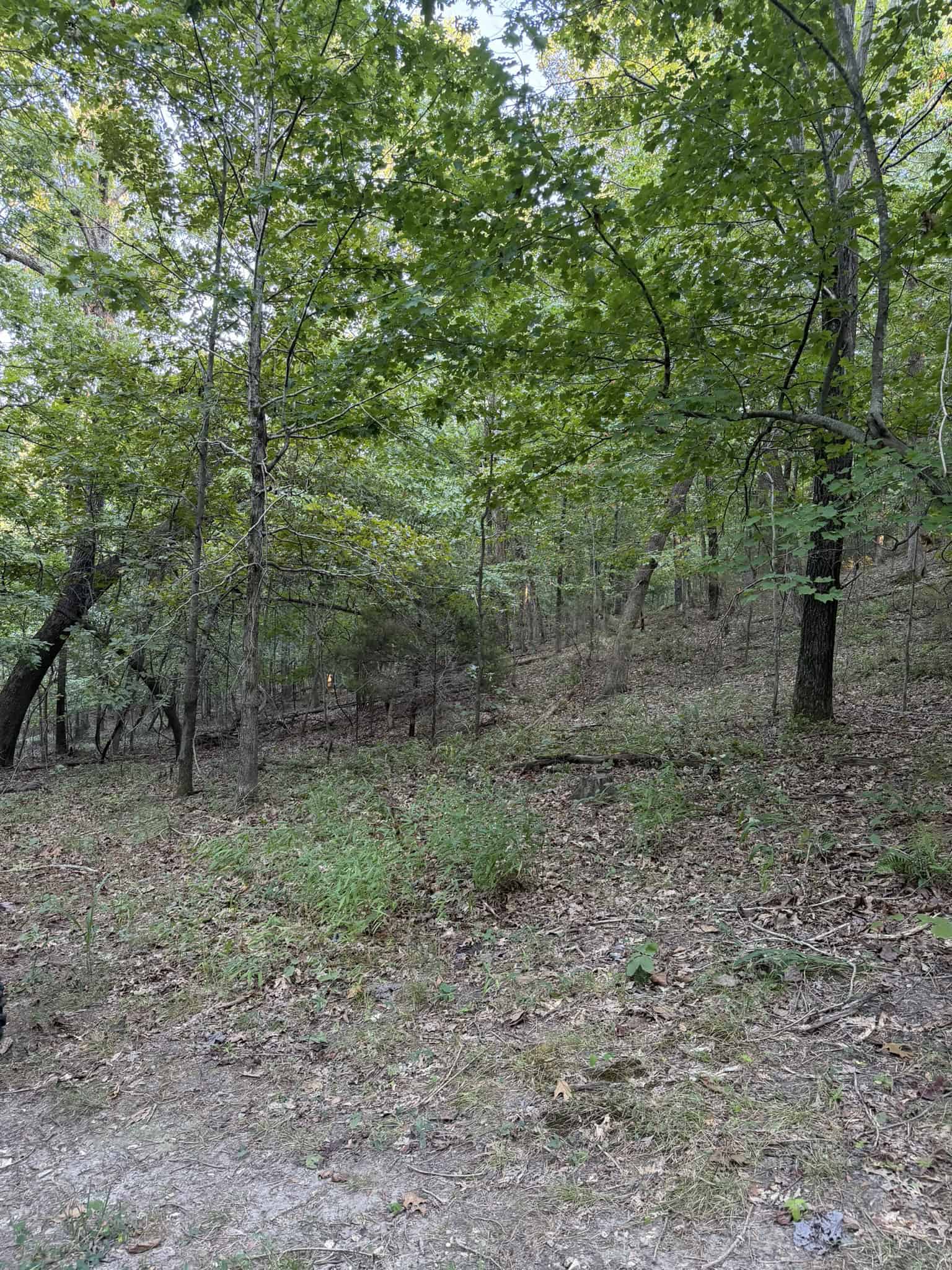 HUNTING LAND FOR SALE IN NORTH CENTRAL ARKANSAS