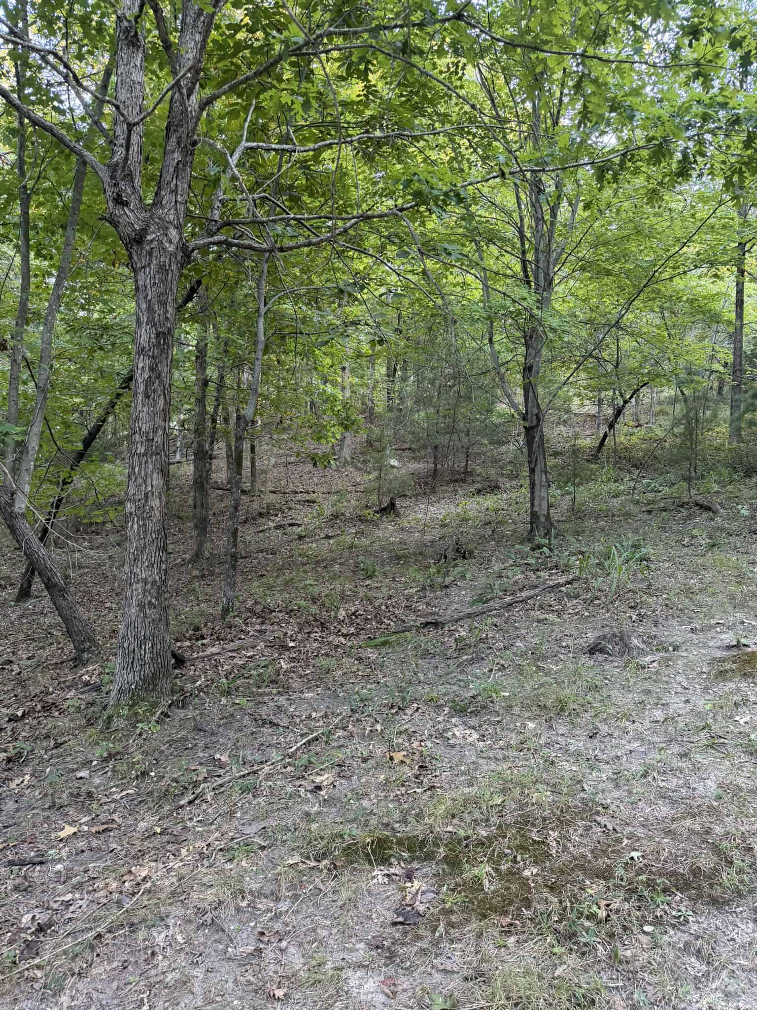 HUNTING LAND FOR SALE IN NORTH CENTRAL ARKANSAS