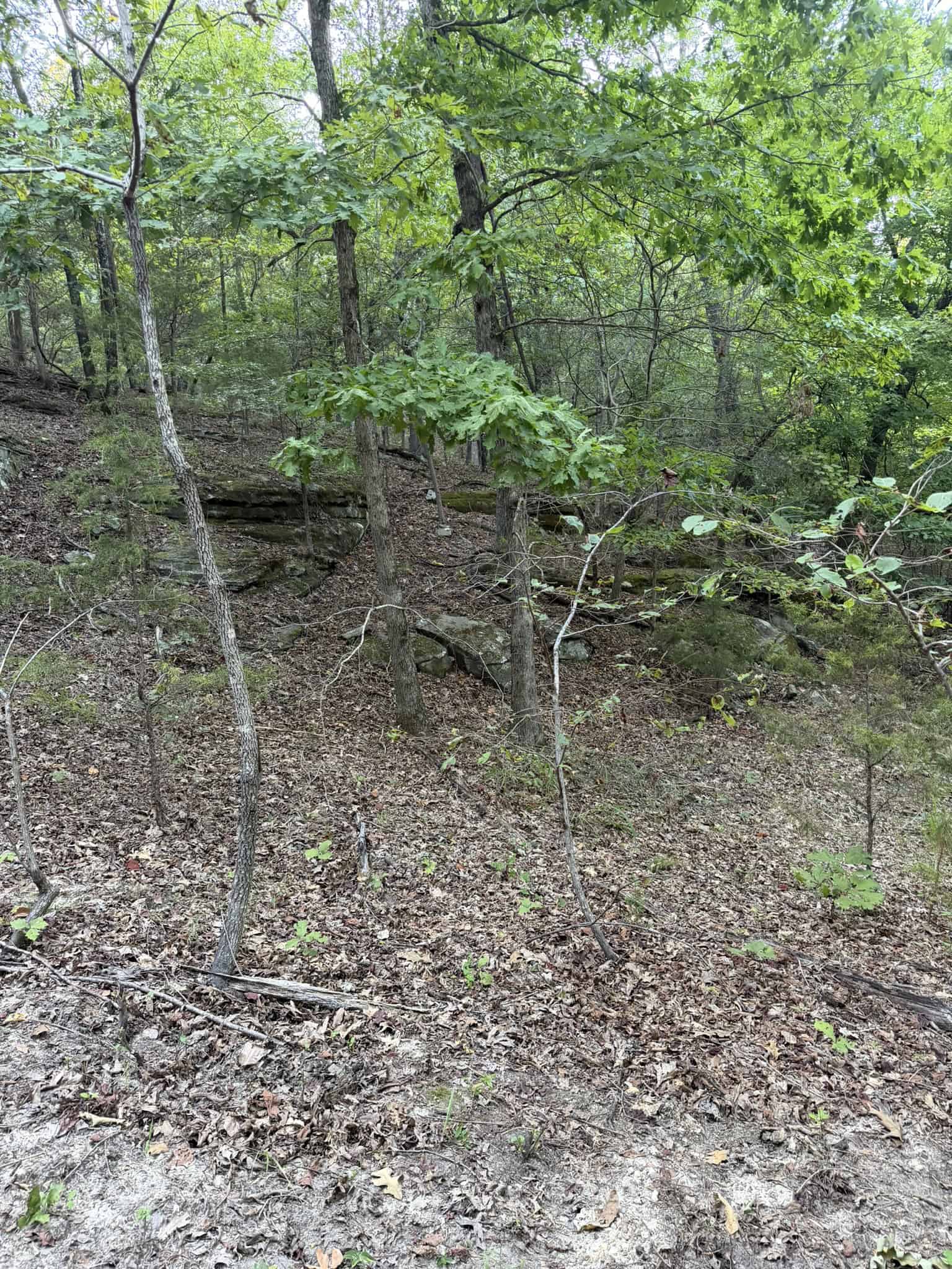 HUNTING LAND FOR SALE IN NORTH CENTRAL ARKANSAS