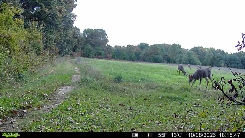 52 Acres of Trophy Whitetail Deer Hunting in Columbia County WI