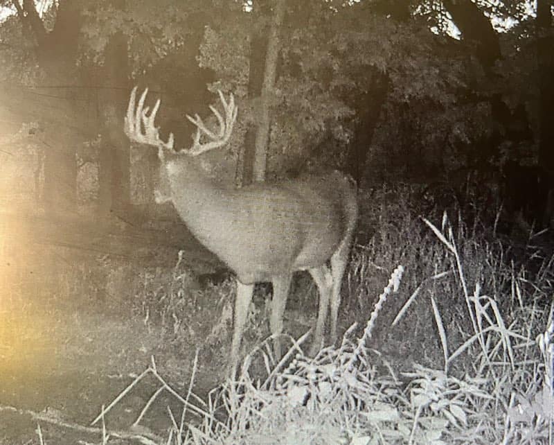 52 Acres of Trophy Whitetail Deer Hunting in Columbia County WI