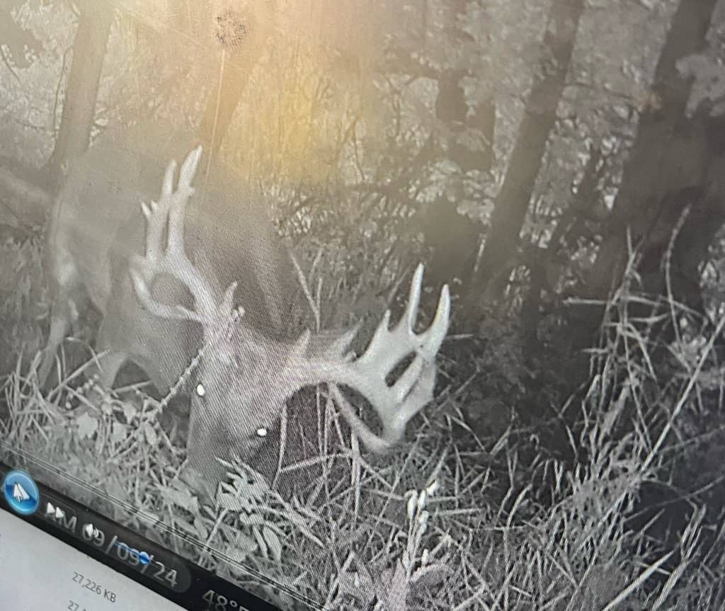 52 Acres of Trophy Whitetail Deer Hunting in Columbia County WI