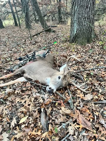 52 Acres of Trophy Whitetail Deer Hunting in Columbia County WI
