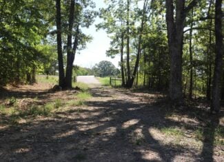 32 Acres For Sale in Clinton AR – Ozark Mountains
