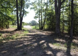 32 Acres For Sale in Clinton AR – Ozark Mountains