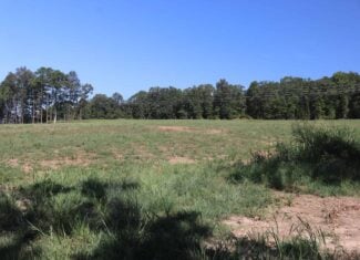 32 Acres For Sale in Clinton AR – Ozark Mountains
