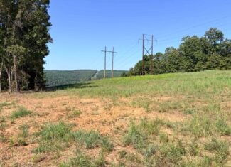 32 Acres For Sale in Clinton AR – Ozark Mountains