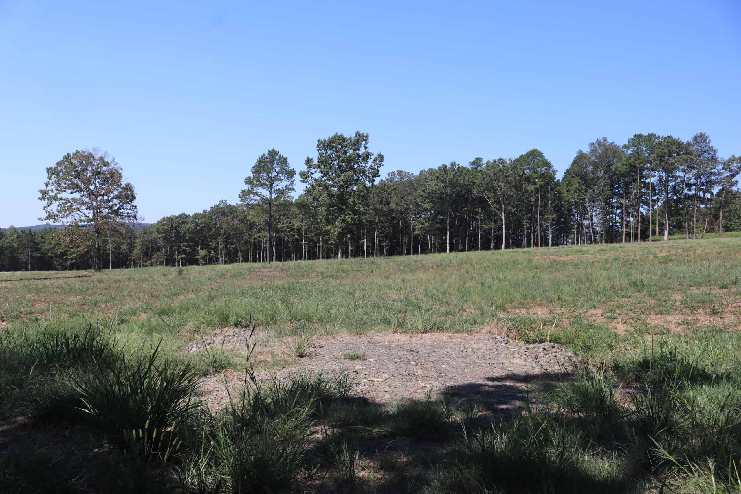 32 Acres For Sale in Clinton AR – Ozark Mountains